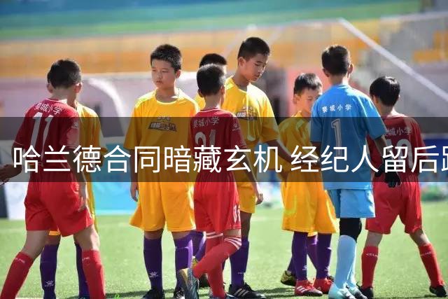 哈兰德合同暗藏玄机 经纪人留后路为皇马引援埋下伏笔
