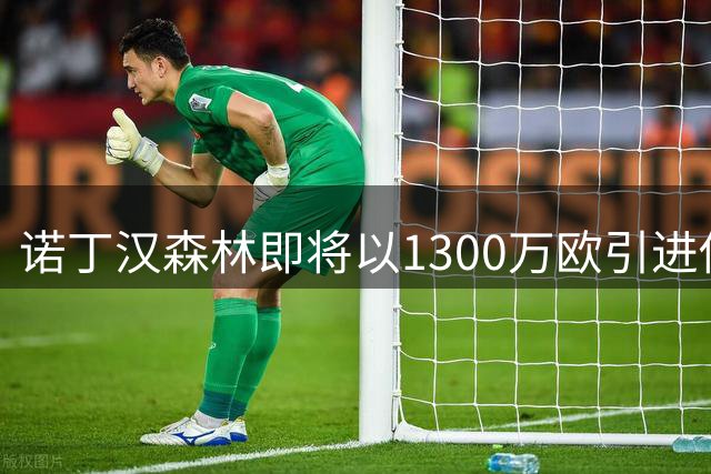 诺丁汉森林即将以1300万欧引进佛罗伦萨后卫多多