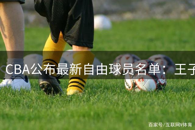 CBA公布最新自由球员名单：王子瑞苏若禹等9人上榜